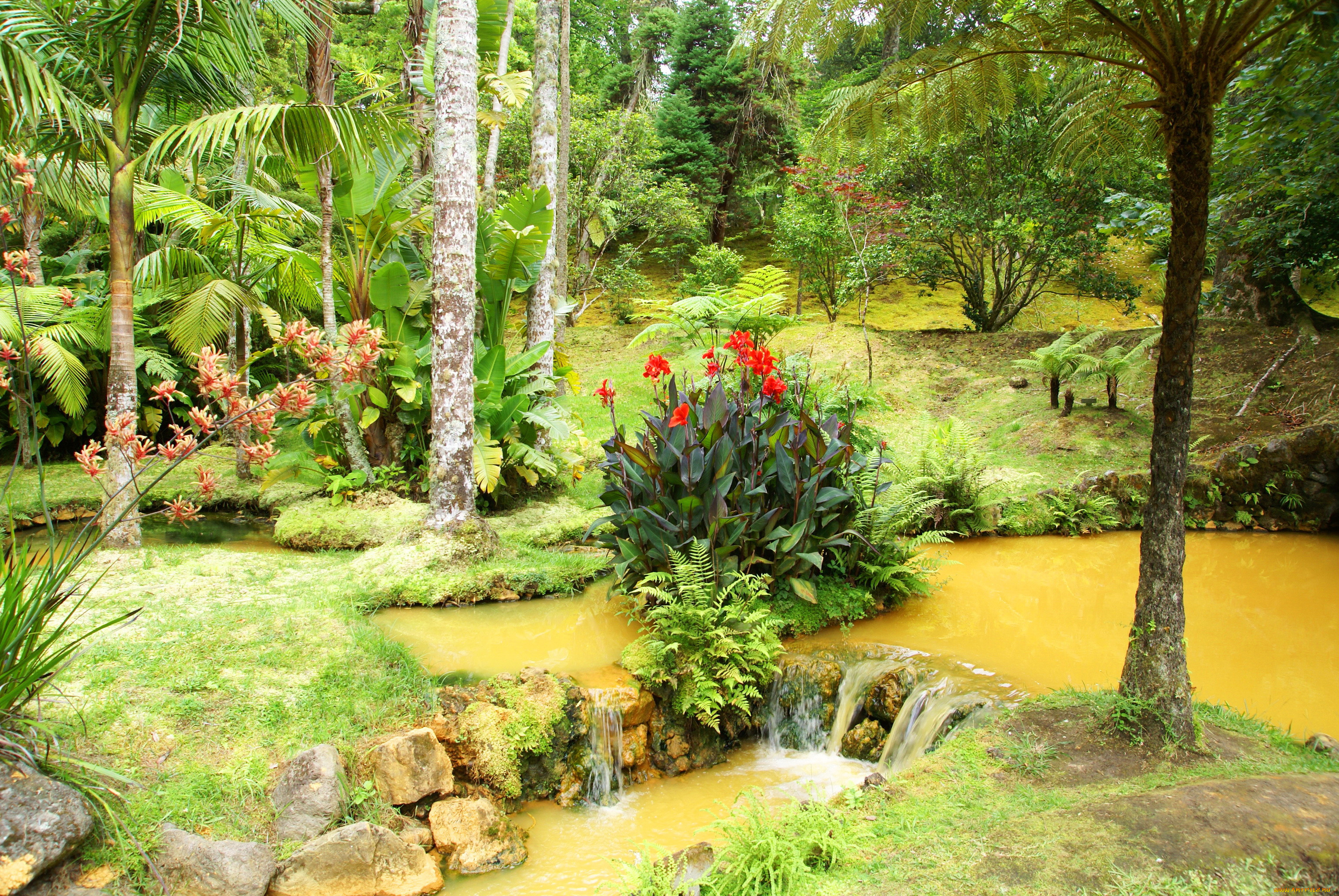  terra nostra , , , , , , , , , garden, terra, nostra